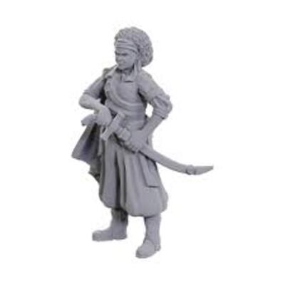 D&D Nolzur's Mini: Ansalon Human Rogue